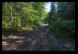Rodopi -Lacul Batak -11-07-2015 - Bogdan Balaban